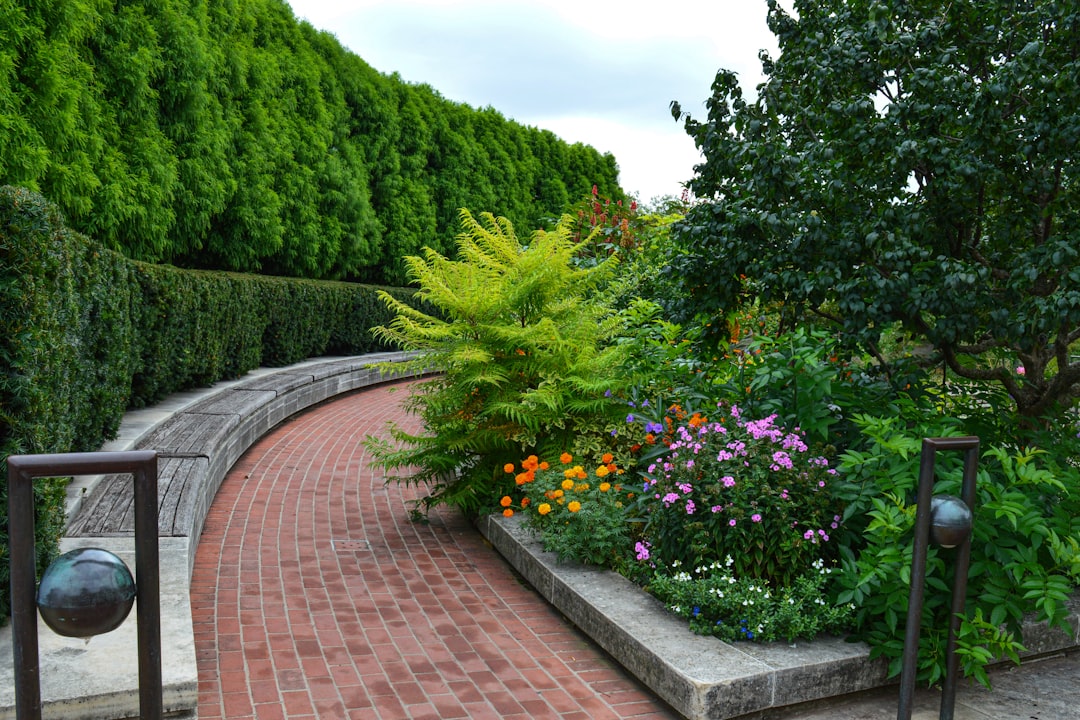 Home a-brick-path-with-a-garden-of-flowers-and-trees-aqqx2yrvb2m