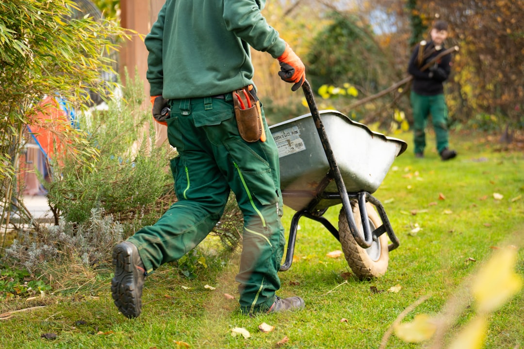 Home Landscapers cleaning the garden. Person pushing an empty wheelbarrow.